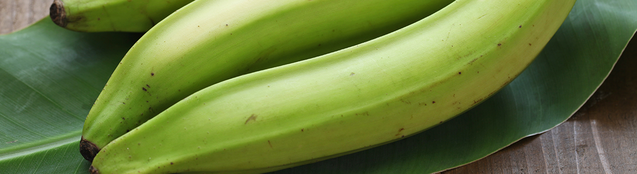 Les bienfaits santé de la banane plantain