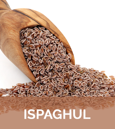 L’Ispaghul