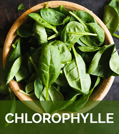 Chlorophylle biophenix
