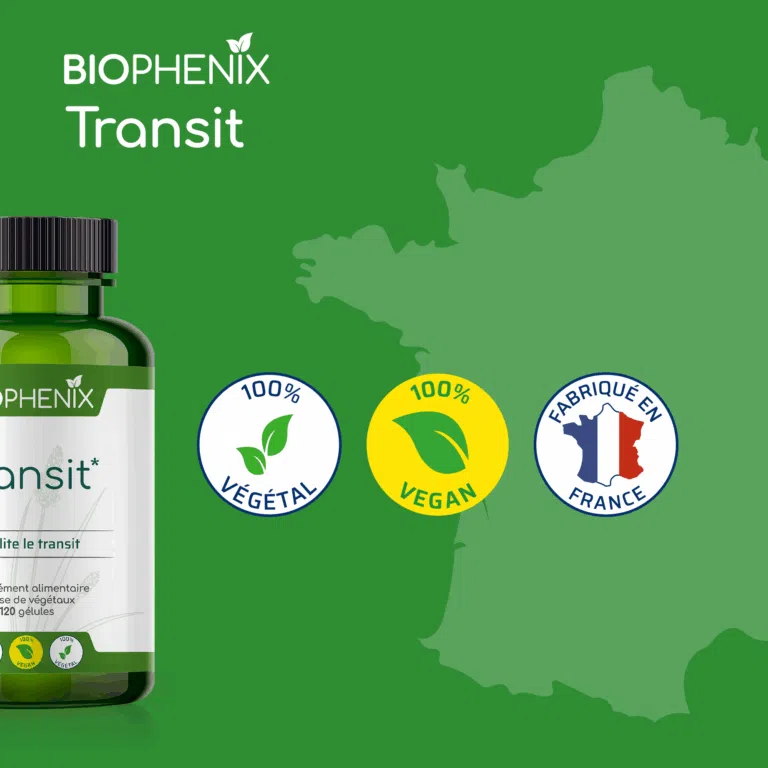 transit - france