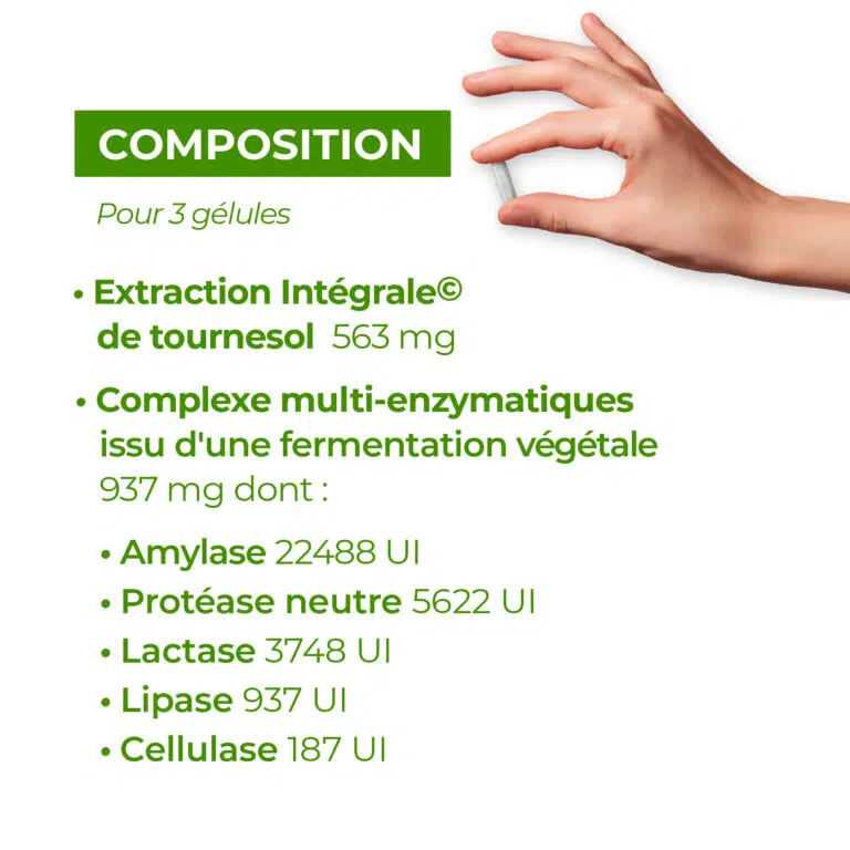 composition enzymes