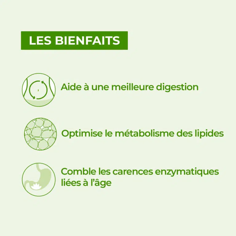 Les bienfaits d'enzymes