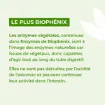 Le plus des enzymes biophenix