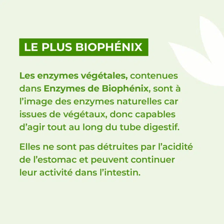 Le plus des enzymes biophenix
