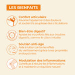 les bienfaits du curcuma
