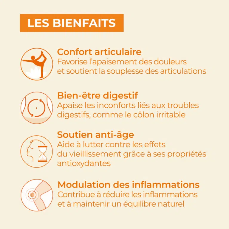 les bienfaits du curcuma