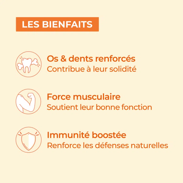 bienfaits vitamine d3 l-reuteri
