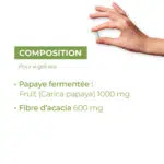 composition papaye