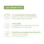 bienfait de papaye