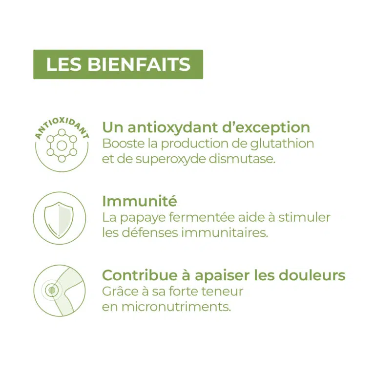 bienfait de papaye