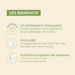 les biengaits de papaye