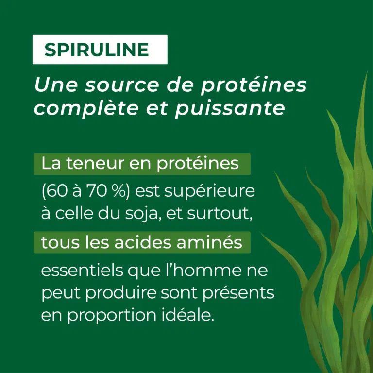 proteine et spiruline