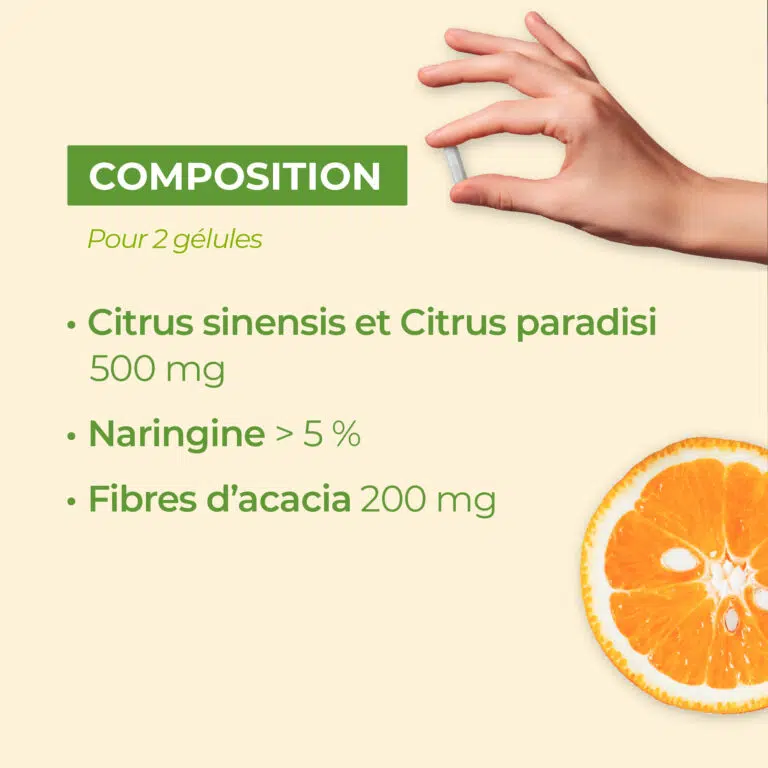 composition Flore