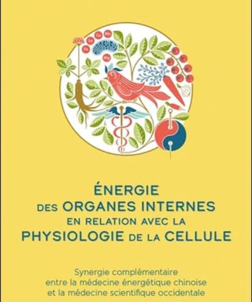3 livre sur l'energie des organes internes