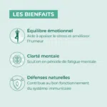 bienfaits millpertuis