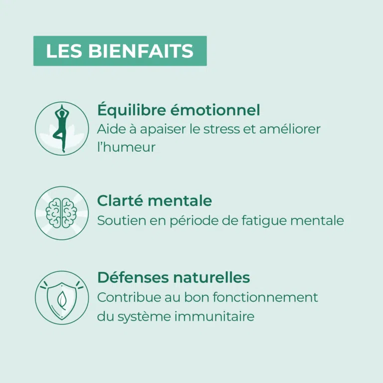 bienfaits millpertuis