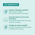 vignette produit coezyme 1