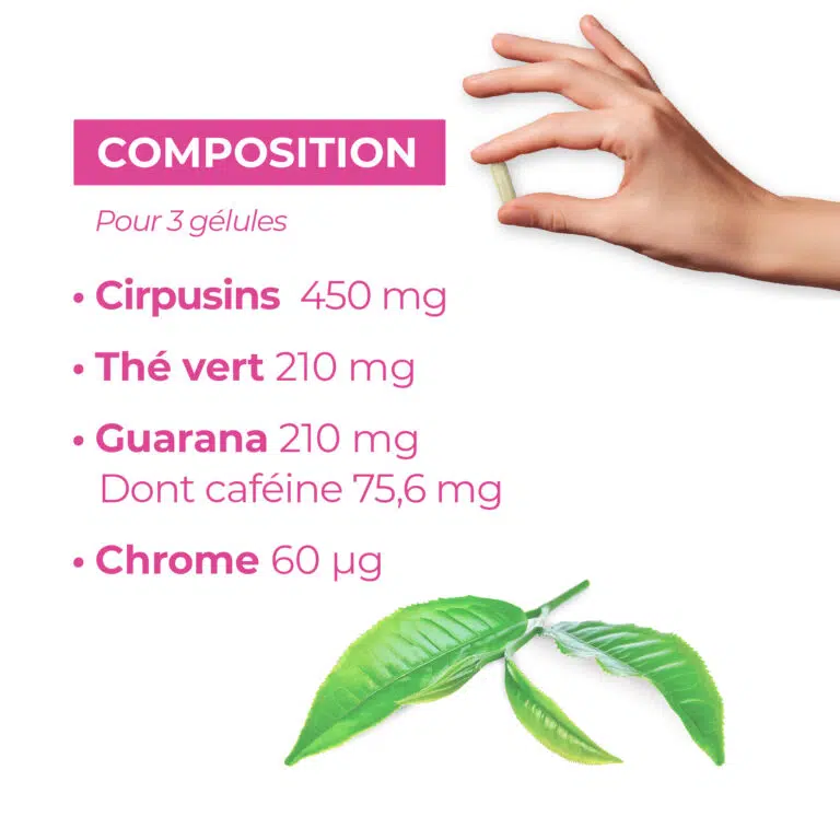 composition minceur