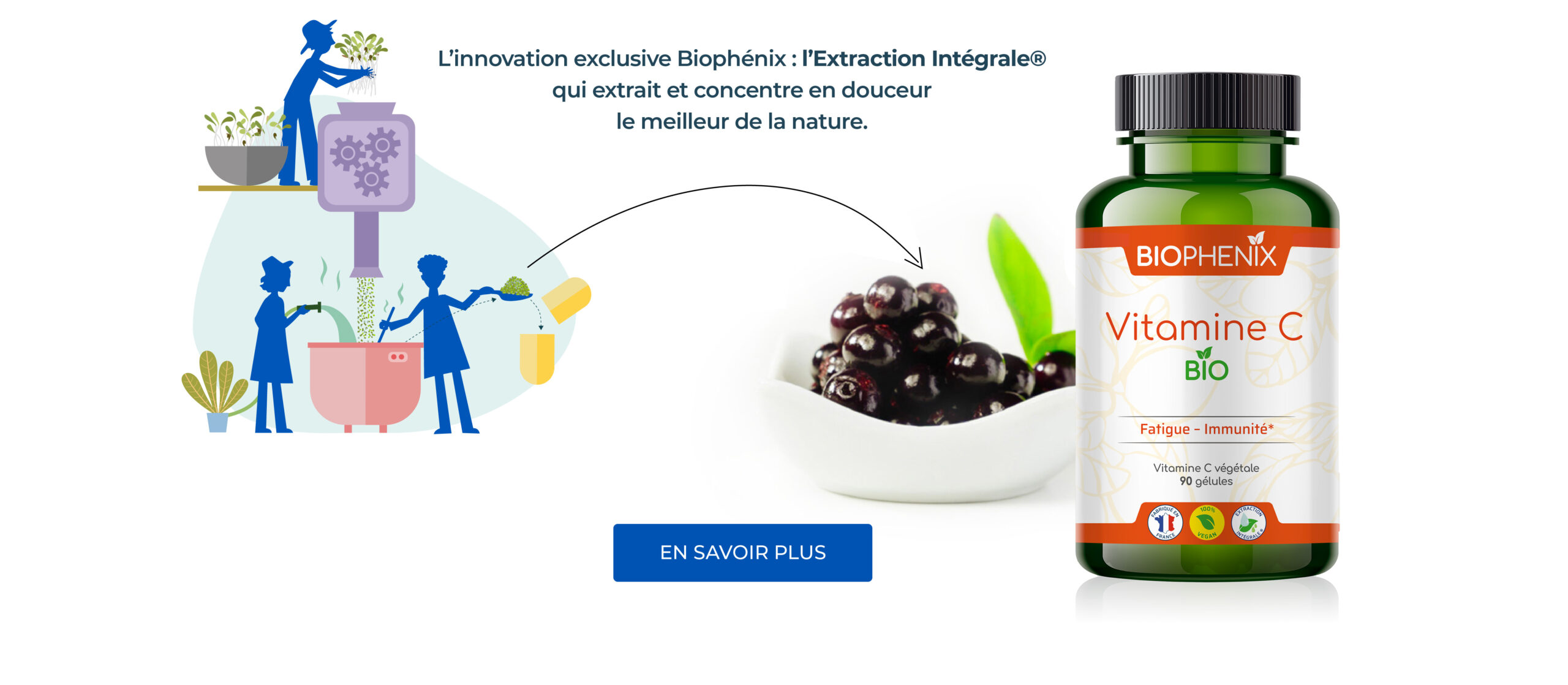 Biophénix - Fabrication